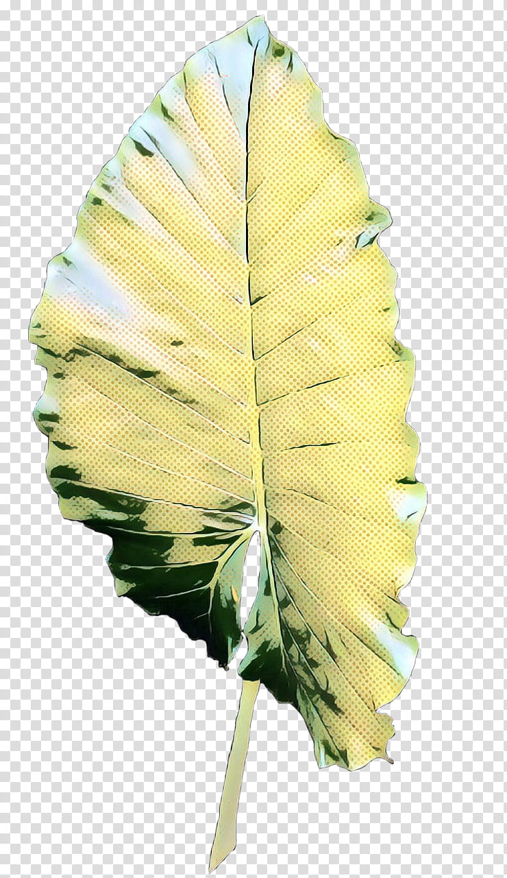 Vintage Flower, Pop Art, Retro, Leaf, Yellow, Plant, Feather, Botany transparent background PNG clipart