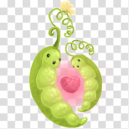 two green pea pods art transparent background PNG clipart