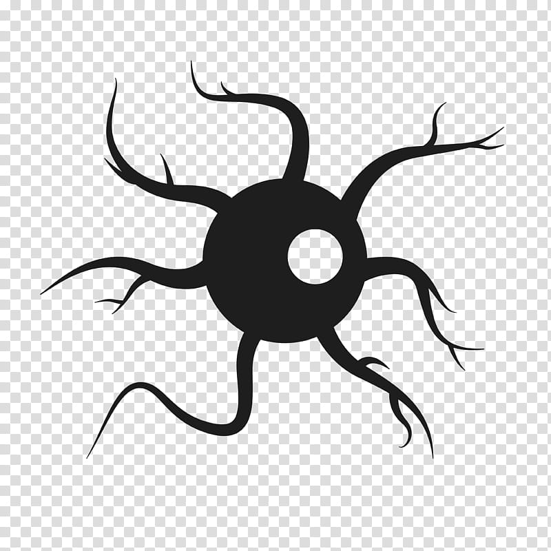 Black Widow Logo, Neuron, Pseudounipolar Neuron, Nerve, Multipolar Neuron, Axon, Bipolar Neuron, Nervous System transparent background PNG clipart