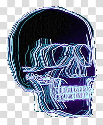 , black and white human skull transparent background PNG clipart