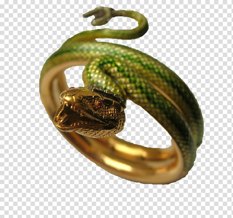 Snake, Bangle, Ring, Jewellery, Gold, Bijou, Bracelet, Silver transparent background PNG clipart