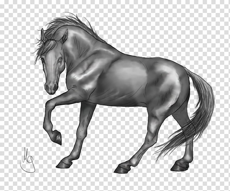 Prancing Horse Greyscale, gray horse illustration transparent background PNG clipart