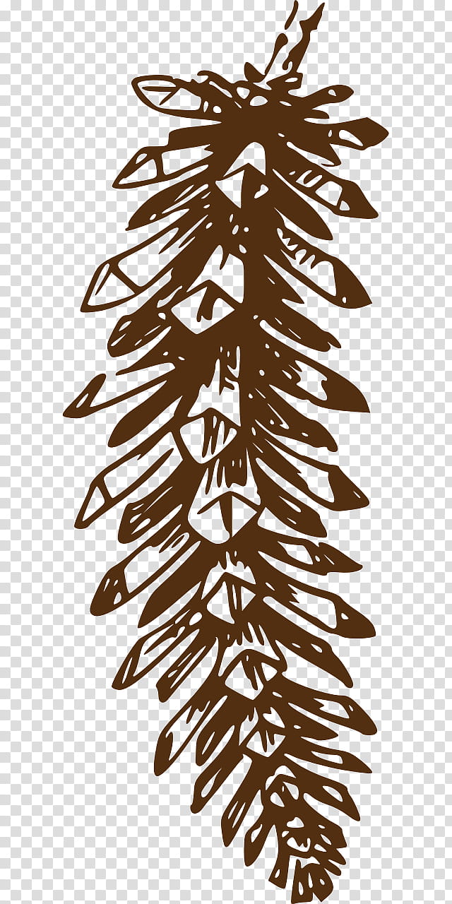 Black And White Flower, Pine, Conifer Cone, Fir, Eastern White Pine, Conifers, Ponderosa Pine, Line Art transparent background PNG clipart