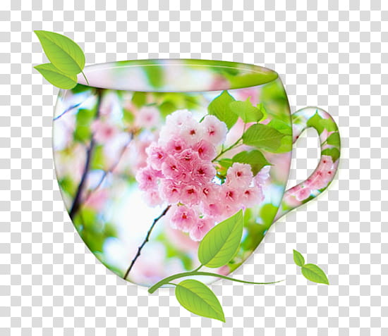 Floral Blossom, Tencent, Baidu, Tencent Qq, Sentence, Love, Sadness, Flower transparent background PNG clipart