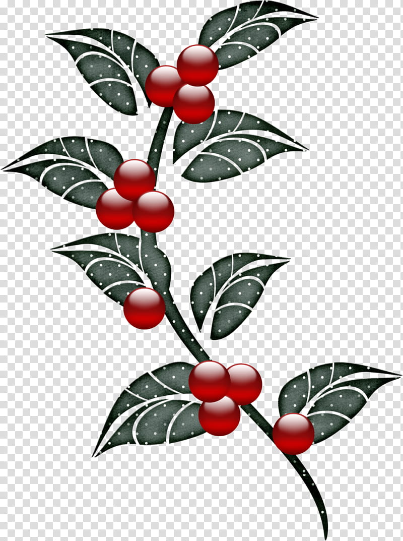 Christmas Poinsettia, Common Holly, Poinsettia Pin, Christmas Day, Aquifoliales, Lingonberry, Email, Branch transparent background PNG clipart