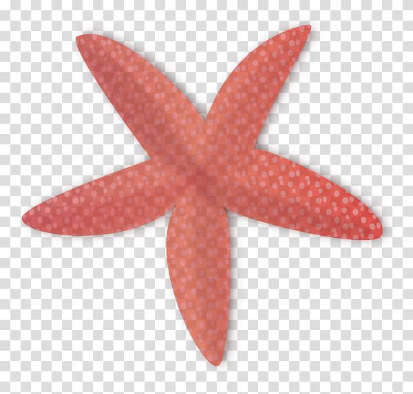 pink starfish marine invertebrates transparent background PNG clipart