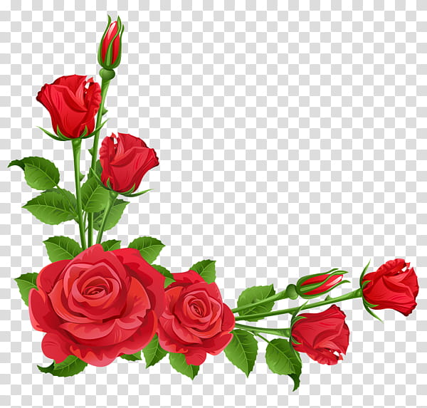 Roses Red Rose Illustration Transparent Background Png Clipart