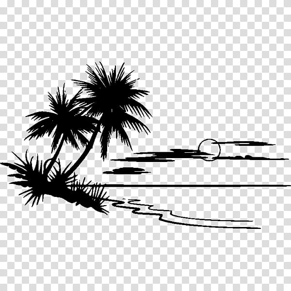 Palm Tree Drawing, Beach, Silhouette, Palm Trees, Stencil, Blackandwhite, Plant, Arecales transparent background PNG clipart