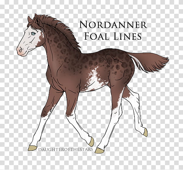 Horse, Pony, Horse Harnesses, Trot, Equestrian, Mane, Stallion, Horse Tack transparent background PNG clipart