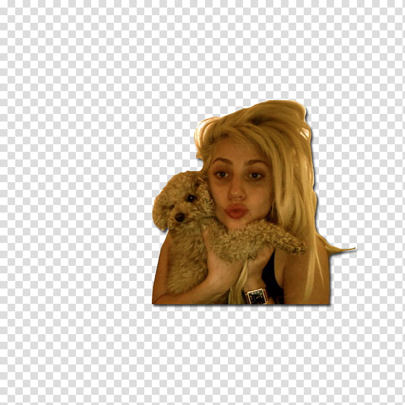 Lady Gaga y Fozzi transparent background PNG clipart