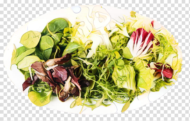 Spring Flower, Lettuce, Vegetarian Cuisine, Food, Garnish, Spring Greens, Salad, Superfood transparent background PNG clipart