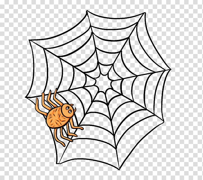 Spider Web, Drawing, Coloring Book, Tangle Web Spider, Arachnid, White, Leaf, Line transparent background PNG clipart
