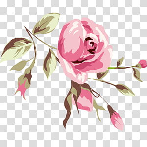 Pink Flower Cartoon png download - 2400*2400 - Free Transparent