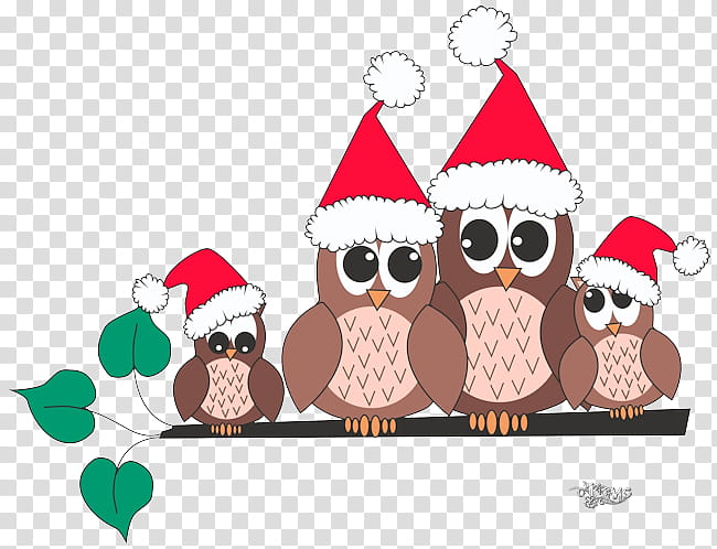 Santa Claus, Owl, Christmas Graphics, Christmas Day, Cartoon, Bird, Bird Of Prey, Christmas transparent background PNG clipart