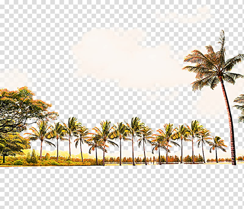 Travel Summer Beach, Coconut, Palm Trees, Nata De Coco, Seaside Resort, Asian Palmyra Palm, Hut, Nature transparent background PNG clipart