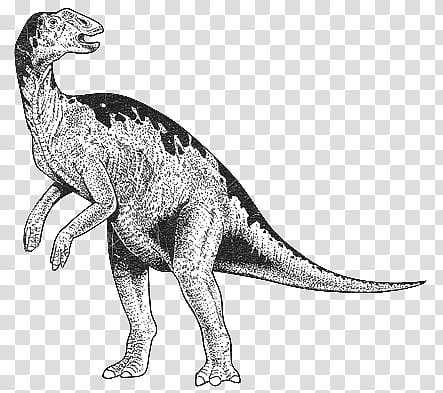 mochizuki  animals, gray dinosaur sketch transparent background PNG clipart