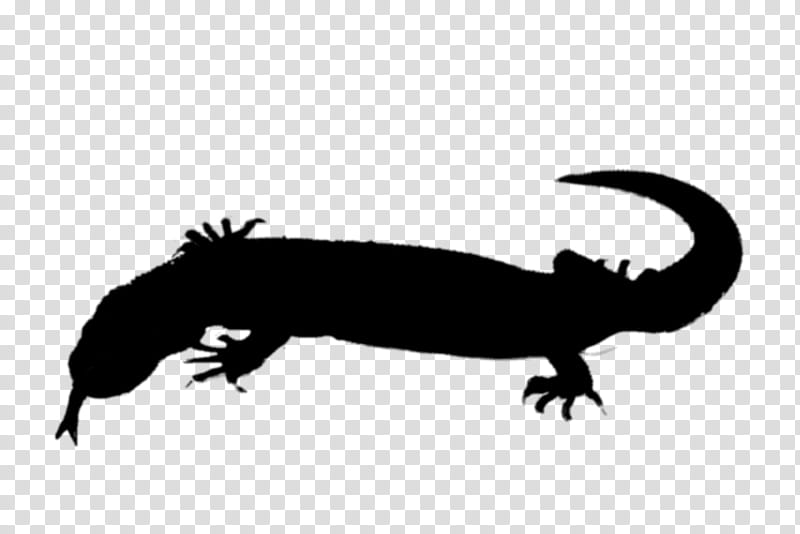 Gecko True Salamanders And Newts, Amphibians, Beak, Silhouette, Snout, Animal, Lizard, Smooth Newt transparent background PNG clipart