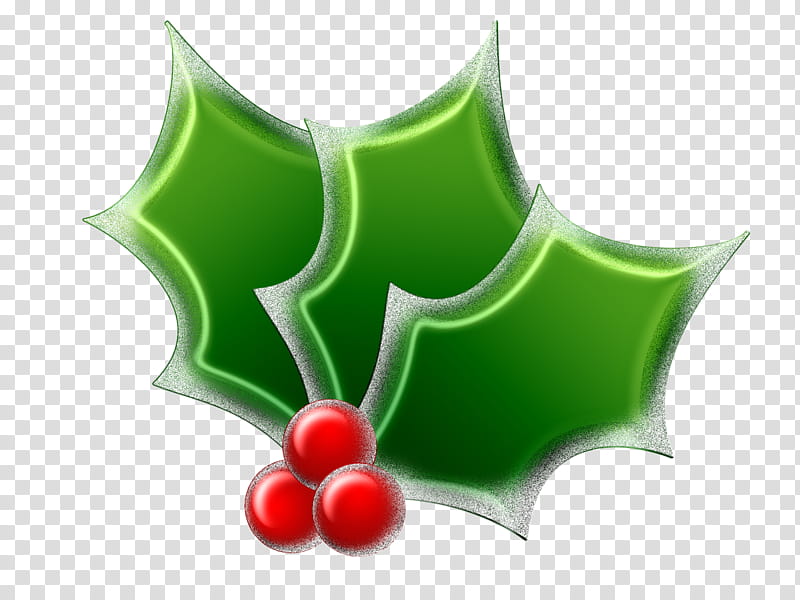 Hollies berries and leaves, mistletoe illustration transparent background PNG clipart