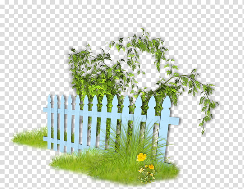 Fence, Garden, Lawn, Drawing, Lawn Mowers, Bigpoint Games, Grass, Tree transparent background PNG clipart