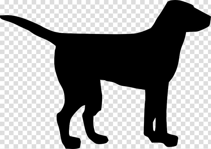 Golden Retriever, Pug, Labrador Retriever, Puppy, Silhouette, Drawing, Dog, Black transparent background PNG clipart