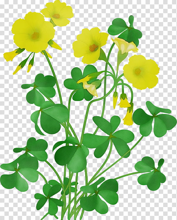Drawing Watercolor painting Silhouette Design, Wet Ink, Cartoon, Line Art, Flower, Plant, Yellow, Creeping Wood Sorrel transparent background PNG clipart