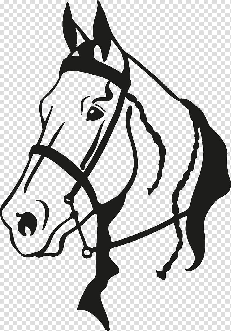 Horse Head Logo Vector Art PNG, Horse Head Logo, Horse, Head, Logo PNG  Image For Free Download