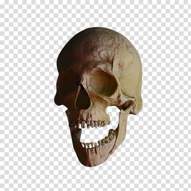 Skull And Crossbones, Death, Skeleton, Totenkopf, Jaw, Head, Mouth, Neck transparent background PNG clipart