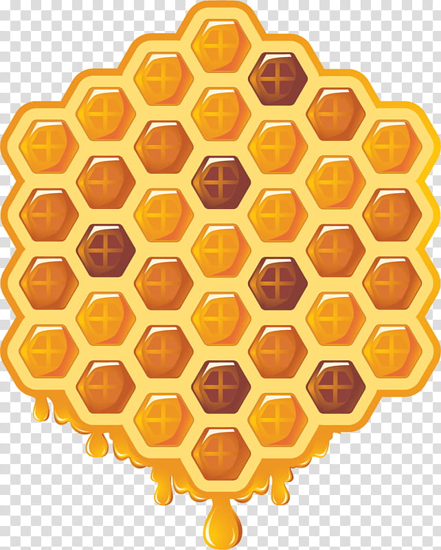 Hexagon, Bee, Western Honey Bee, Honeycomb, Beehive, Tessellation, Bumblebe...