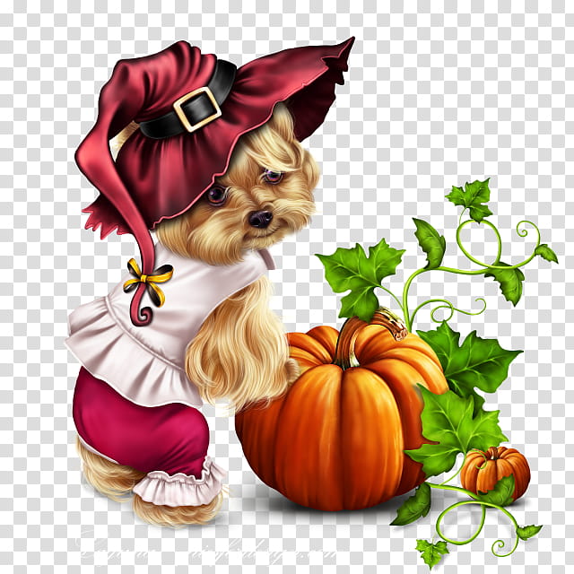 dog trick-or-treat shih tzu puppy yorkshire terrier, Trickortreat, Plant transparent background PNG clipart