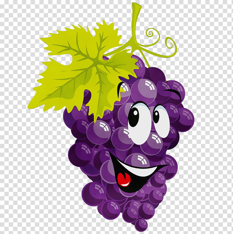 grape grapevine family purple violet vitis, Watercolor, Paint, Wet Ink, Leaf, Cartoon, Plant, Fruit transparent background PNG clipart