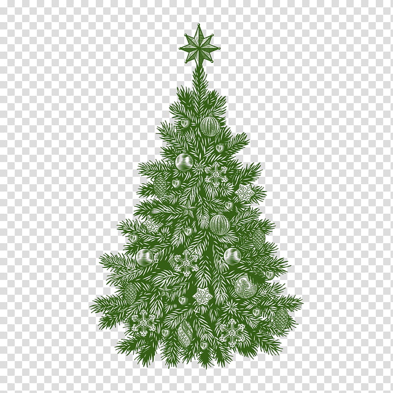 Christmas Resource , green christmas tree transparent background PNG clipart