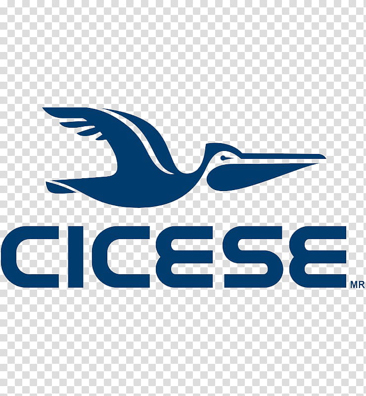 Company, Logo, Text, Cicese, Ensenada, Ensenada Municipality transparent background PNG clipart