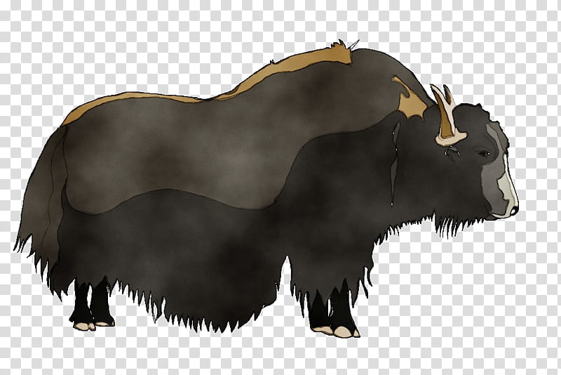 yak bovine terrestrial animal wildlife ox, Watercolor, Paint, Wet Ink, Muskox, Cowgoat Family, Bull, Animal Figure transparent background PNG clipart