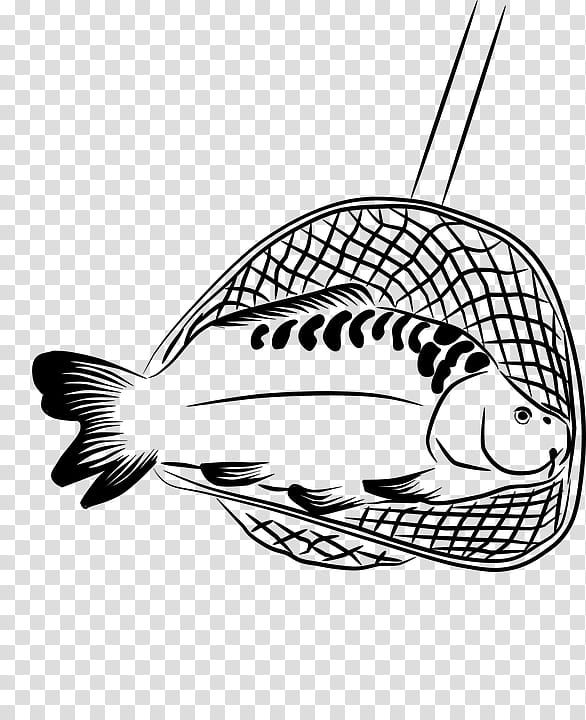 Fish fish line art coloring book black-and-white, Blackandwhite, Carp  transparent background PNG clipart