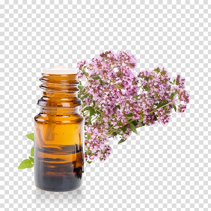 Flowers, Marjoram, Essential Oil, Herb, Rosemary, Garden Thyme, Aromatherapy, Pianta Aromatica transparent background PNG clipart