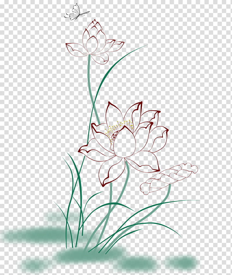 Flower Line Art, Chinese Painting, Drawing, Ink Wash Painting, Gongbi, Sacred Lotus, Plant, Flora transparent background PNG clipart
