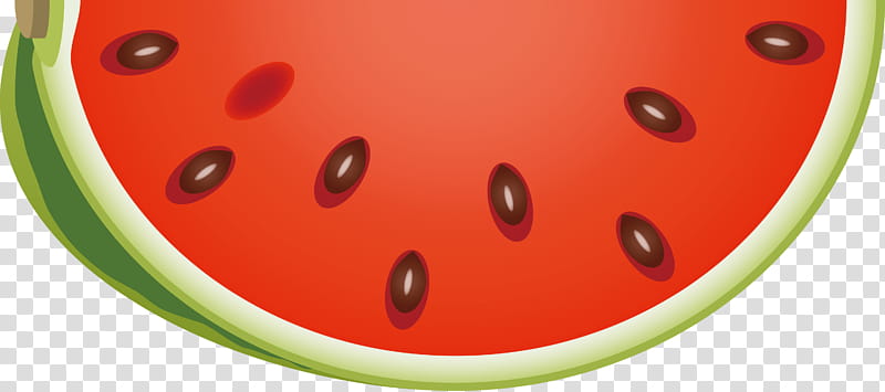 watermelon, Red, Orange, Plant, Fruit, Citrullus transparent background PNG clipart
