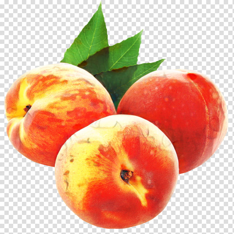 Gum Tree, Peach, Food, Nectarine, Clausena Lansium, Milkshake, Eating, Pineapple transparent background PNG clipart