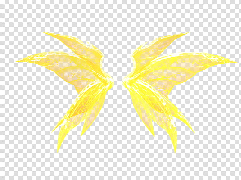 Plant Leaf, Yellow, Wing, Petal transparent background PNG clipart