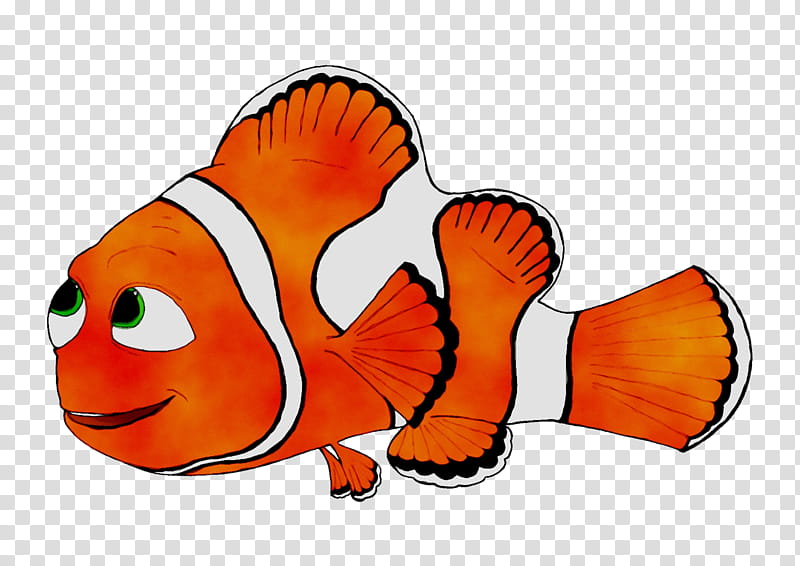 Fish, Cartoon, Orange Sa, Anemone Fish, Clownfish, Pomacentridae, Tail, Butterflyfish transparent background PNG clipart