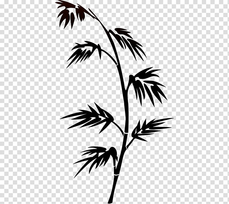 Black And White Flower, Silhouette, Bamboo, Cartoon, Palm Trees, Logo, Leaf, Black And White transparent background PNG clipart