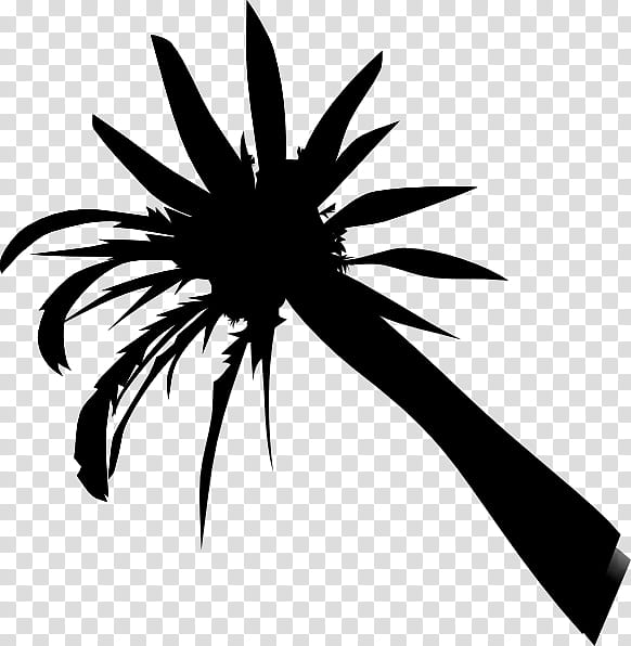 Palm Tree Silhouette, Fashion, Palm Trees, Clothing, We, grapher, Company, Arecales transparent background PNG clipart
