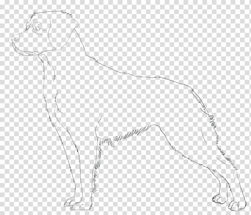 Brittany Spaniel Line Art, dog sketch transparent background PNG clipart