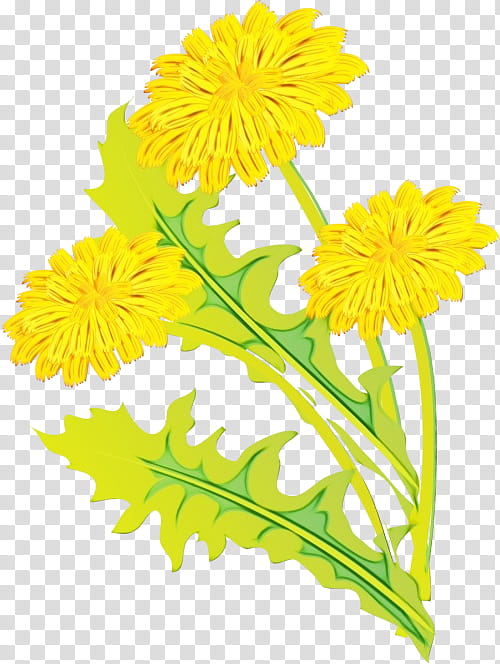 Drawing Of Family, Watercolor, Paint, Wet Ink, Common Dandelion, Graphic Frames, Plants, Yellow transparent background PNG clipart
