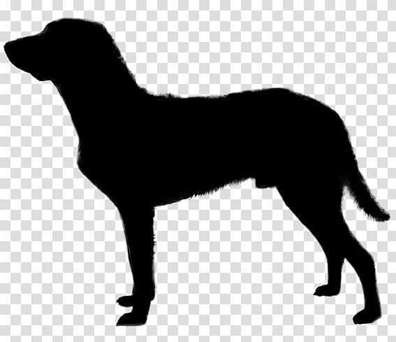 Dog Silhouette, English Mastiff, Bullmastiff, Dogue De Bordeaux, Neapolitan Mastiff, Tibetan Mastiff, Animal, Black transparent background PNG clipart