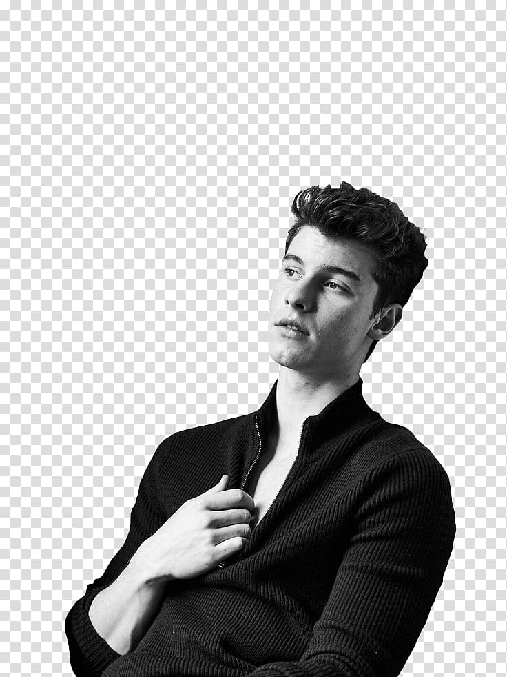 Shawn Mendes transparent background PNG clipart