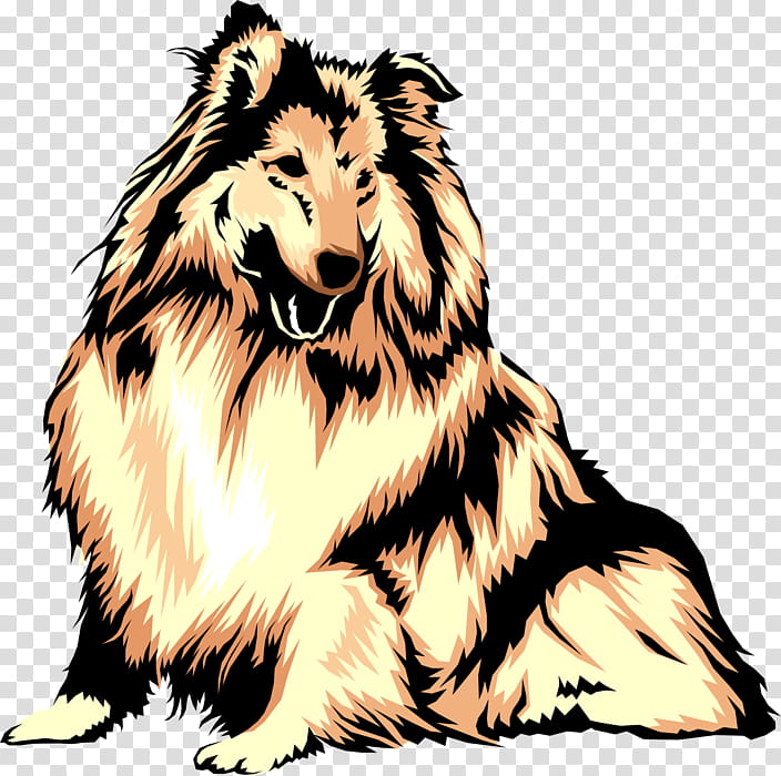 Dog And Cat, Collie, Sheltie, Rough Collie, Dogids, Pet, Cat Utopia Resort Spa, Dog Walking transparent background PNG clipart