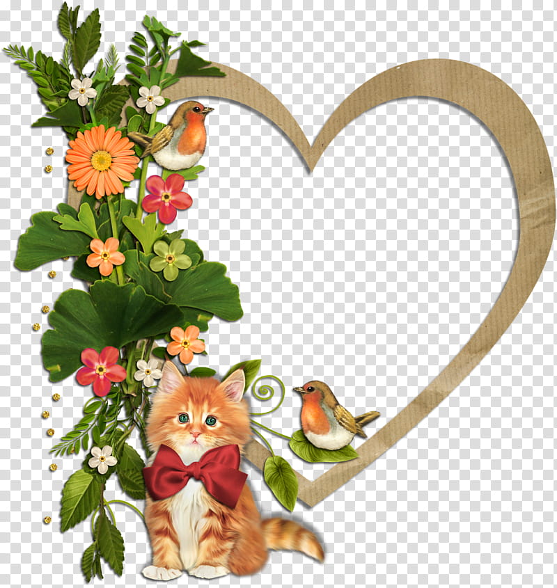 Cute Frame Frame, Bird, Frames, Flower, Floral Design, Duck, Cat, Flower Frame transparent background PNG clipart