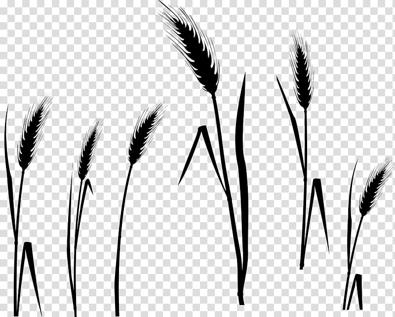 wheat field clipart black and white
