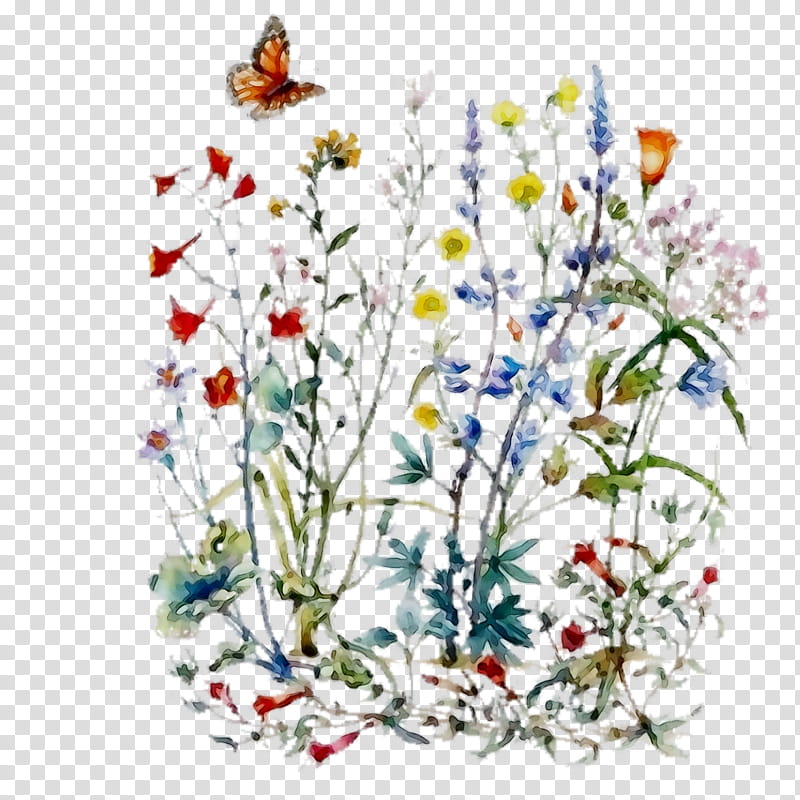 Flowers, Floral Design, Cut Flowers, Plants, Design M Group, Wildflower, Branch, Ixia transparent background PNG clipart